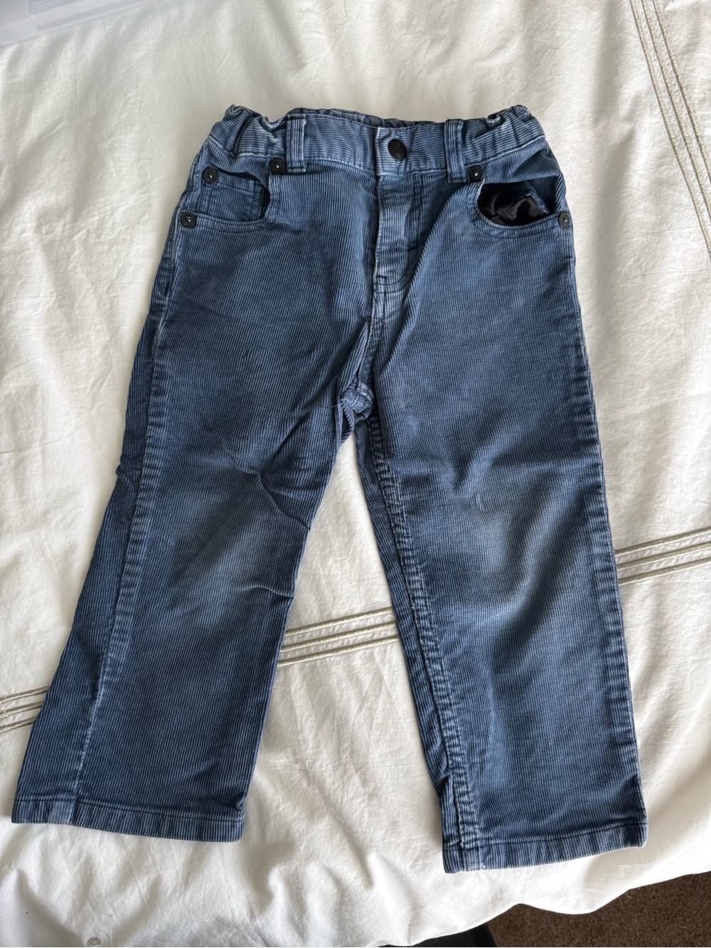 Boys Quicksilver Corduroy Pants in Slate Blue